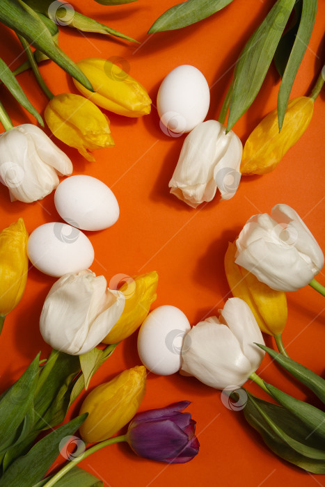 Скачать Белые и желтые тюльпаны и белые яйца на ярко-оранжевом фоне, празднование Пасхи фотосток Ozero
