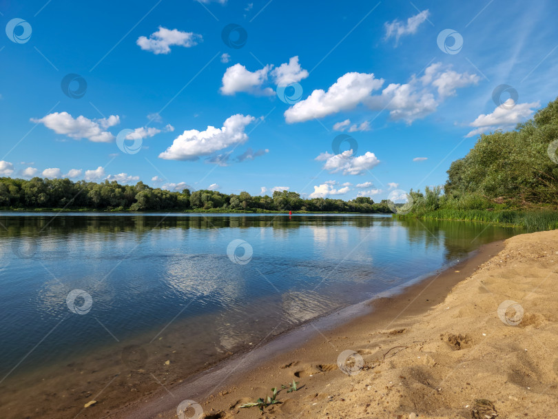 Скачать Берег реки Ока летним днем, Подмосковье, Россия фотосток Ozero