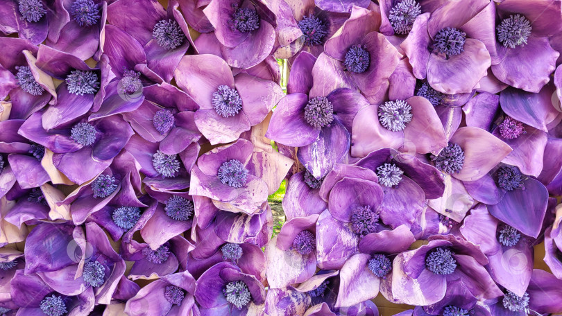 Скачать Изображение искусственных весенних сиренево-фиолетовых цветов, абстрактный цветочный фон фотосток Ozero