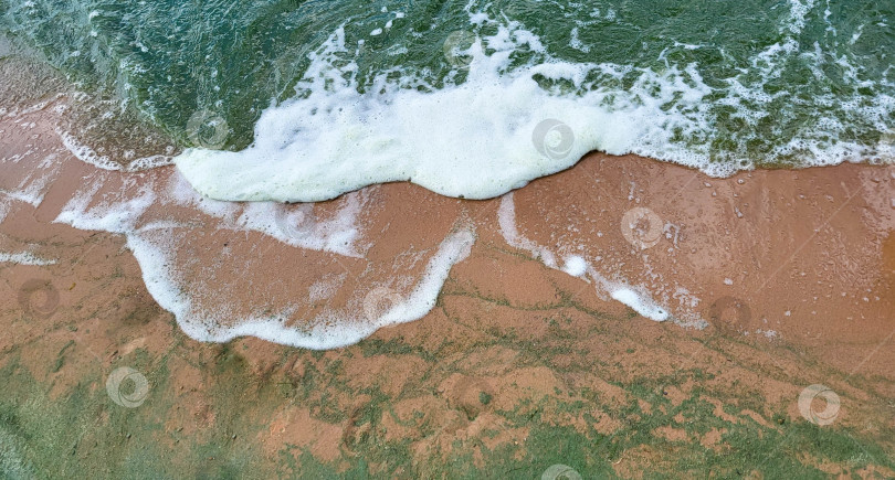 Скачать Вспененные волны и песок.Изумрудные волны от водорослей в ветреный день фотосток Ozero