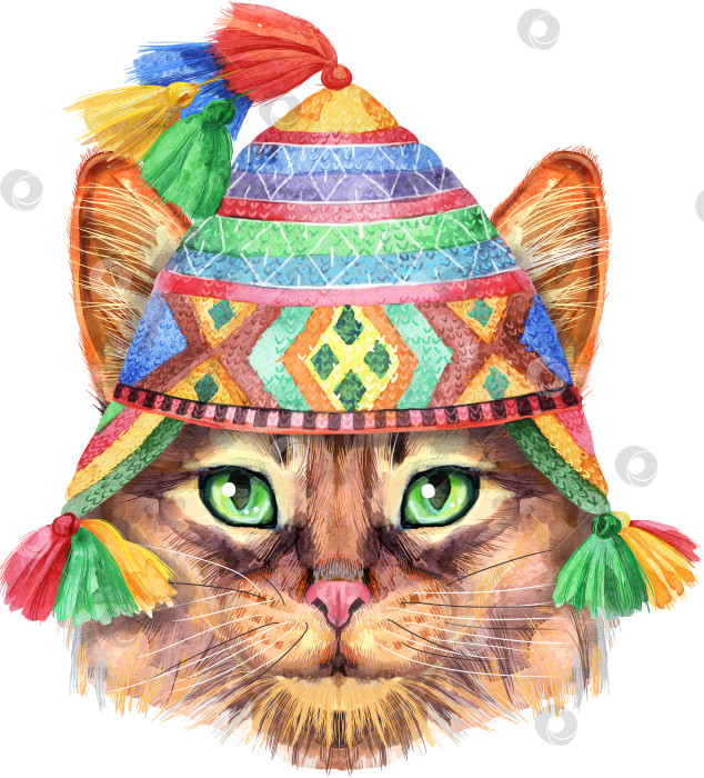 Скачать Прекрасный портрет сомалийской кошки крупным планом в перуанской национальной шляпе Чуло. Ручная акварельная роспись на белом фоне фотосток Ozero
