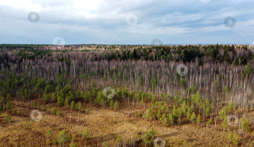 Скачать осенний пейзаж фотосток Ozero