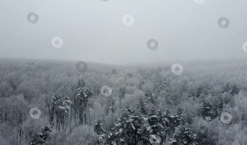 Скачать зимний пейзаж фотосток Ozero