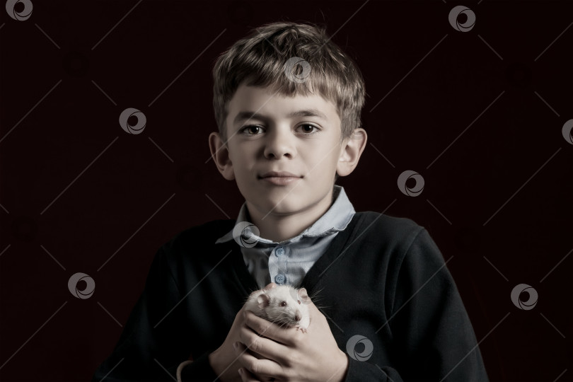 Скачать Портретное изображение мальчика с белой крысой фотосток Ozero
