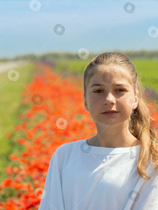Скачать Портрет девочки на фоне красных маков. Красивая девочка-подросток смотрит в камеру, стоя на маковом поле фотосток Ozero