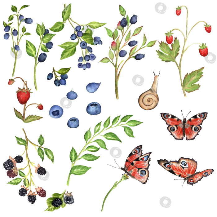 Скачать Набор акварельных иллюстраций, нарисованных от руки. Ягоды, бабочки и улитка. Для текстильного и полиграфического дизайна фотосток Ozero