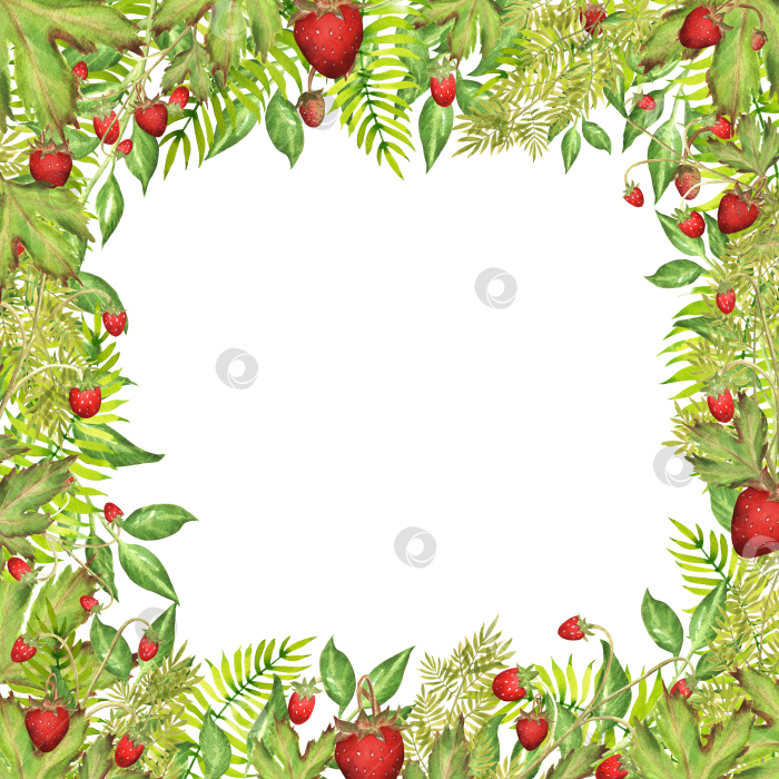 Скачать Нарисованная вручную акварельная рамка с земляникой, папоротником и зелеными листьями. Акварельная иллюстрация для дизайна упаковки, полиграфической продукции, открыток и приглашений. фотосток Ozero