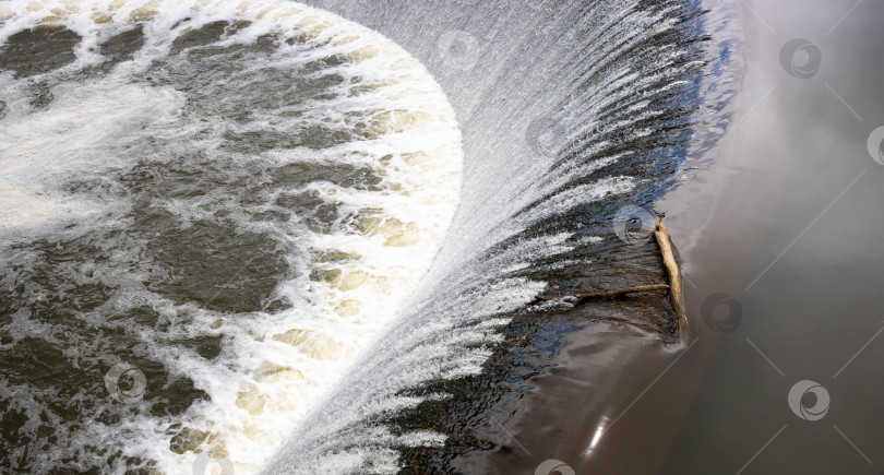 Скачать Птица сидит на бревне над небольшим водопадом на искусственной речной плотине фотосток Ozero