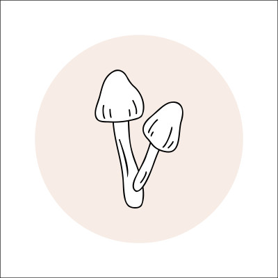 [object Object] undefined