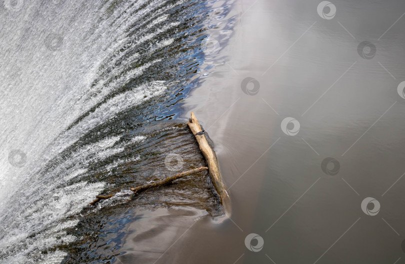 Скачать Птица сидит на бревне над небольшим водопадом на искусственной речной плотине фотосток Ozero