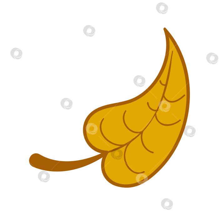 Скачать Изолированный березовый лист желтого цвета. Векторная иллюстрация в стиле каракули. Тема листьев осень, ботаника, природа. фотосток Ozero