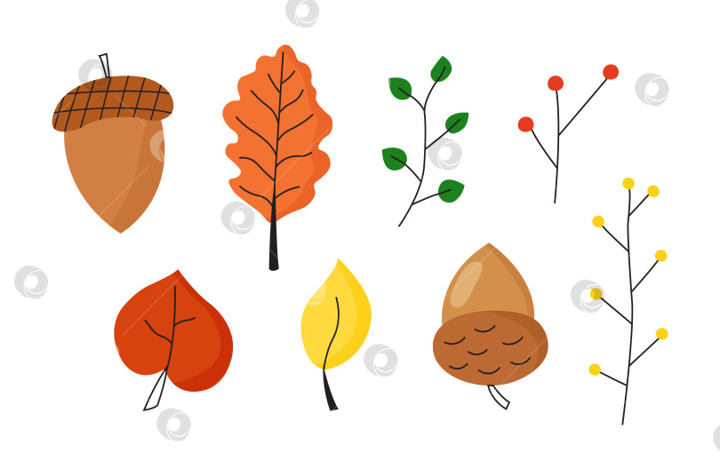 Скачать Осенний набор желудей и листьев. Иллюстрация осенних ягод уютная. фотосток Ozero