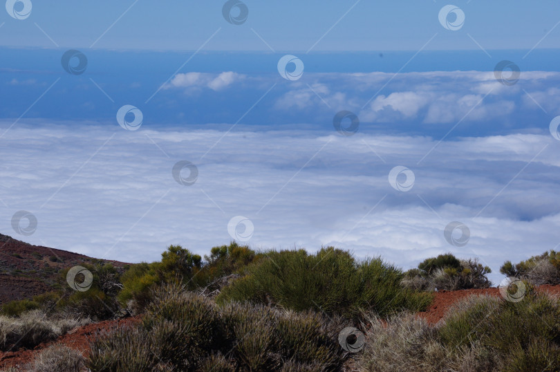 Скачать Над облаками фотосток Ozero