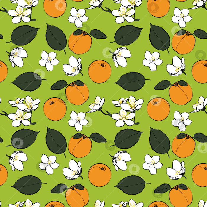 Скачать Набор бесшовных узоров из абрикосов, листьев, фруктов и цветов, 1000х1000 пикселей, векторная графика. фотосток Ozero