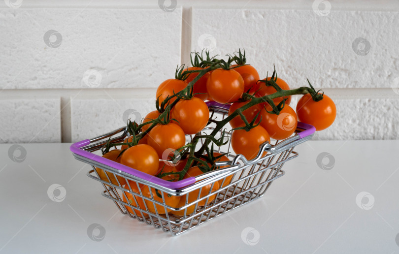 Скачать Органические оранжевые помидоры черри на ветке в корзинке. Изолированный на белом фоне фотосток Ozero