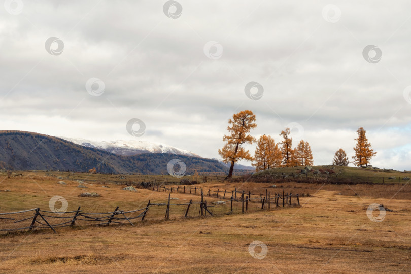 Скачать Деревянный забор на осеннем лугу в горах Алтая. фотосток Ozero