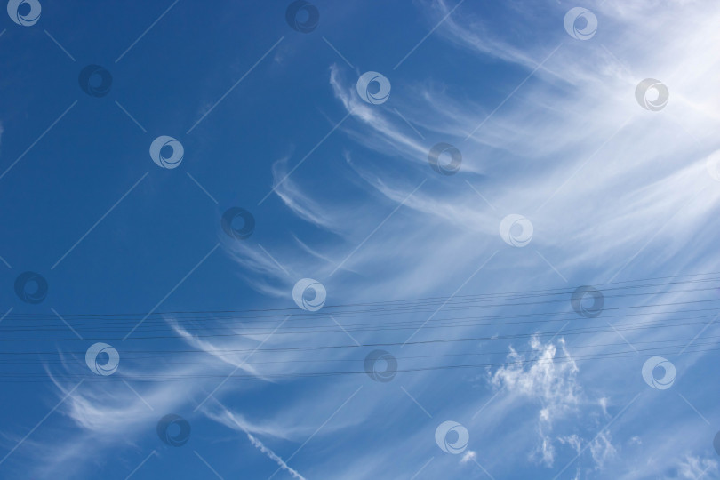 Скачать Красивый фон неба. Необычные перистые облака на голубом небе. фотосток Ozero