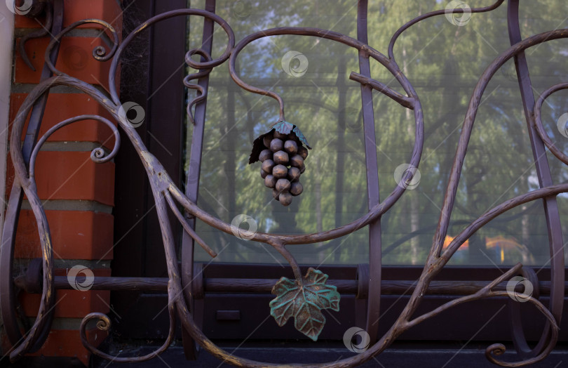 Скачать Изысканные кованые декоративные элементы металлического забора. Современные фасады заборов с коваными плодами винограда и листьями фотосток Ozero