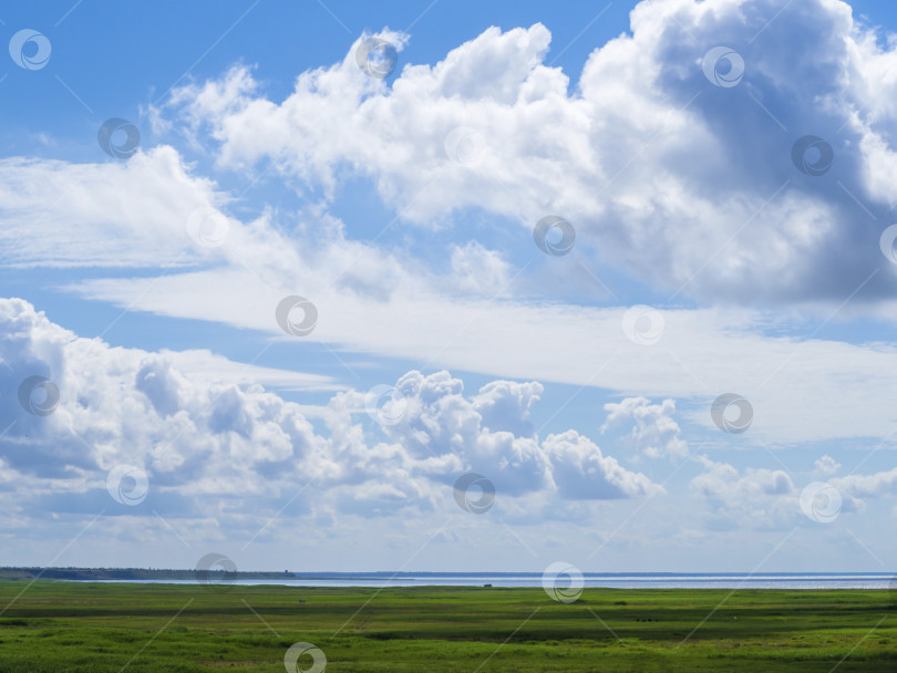 Скачать Белые облака в голубом небе над зелеными заливными лугами у пруда. Красивый облачный пейзажный пейзаж. Живописный вид неба с облаками над зеленой травой фотосток Ozero