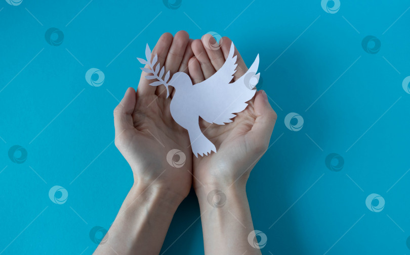 Скачать Руки держат бумажного белого голубя на синем фоне. Всемирный день мира. Всемирный день науки во имя мира и развития фотосток Ozero