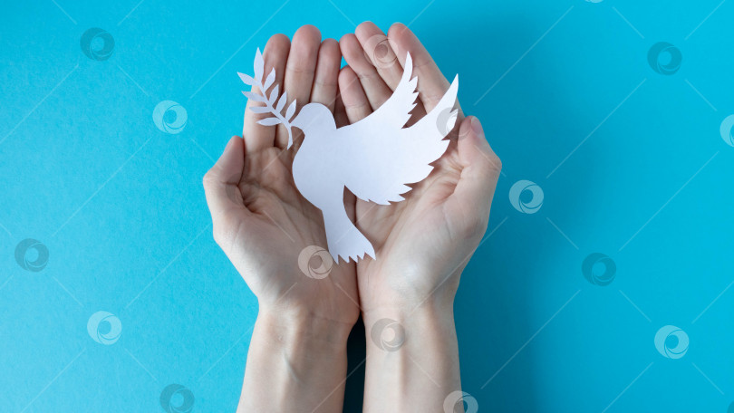 Скачать Руки держат бумажного белого голубя на синем фоне. Всемирный день мира. Всемирный день науки во имя мира и развития. фотосток Ozero