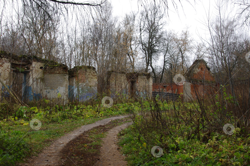 Скачать Руины фотосток Ozero