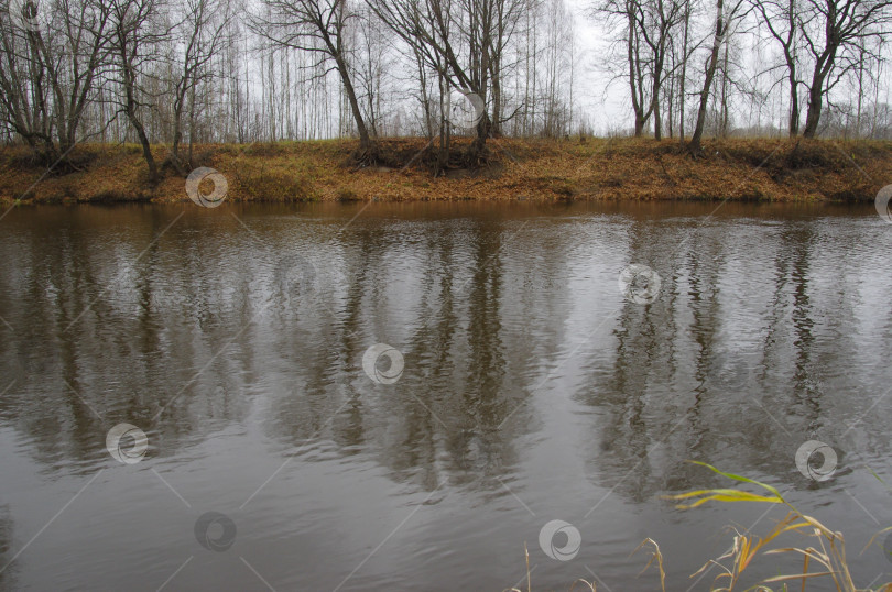 Скачать Река фотосток Ozero