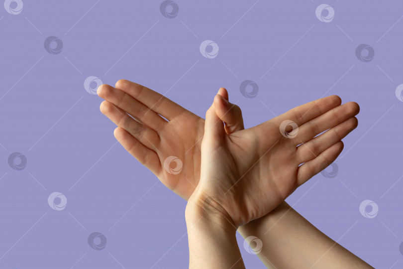 Скачать Силуэт жеста руки, похожего на летящую птицу на сиреневом фоне фотосток Ozero