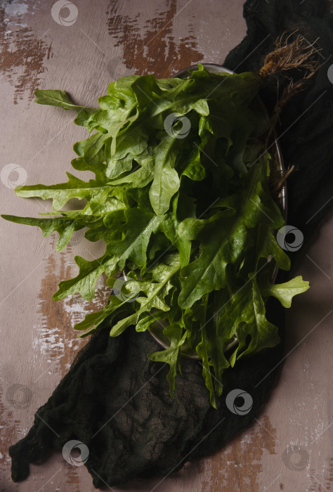 Скачать Свежесобранные листья салата латук на бежевом фоне фотосток Ozero