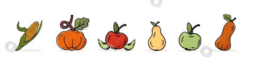 Скачать Набор цветов изолированных плодов урожая. Значок кукурузы, тыквы, яблока, груши. Векторный рисунок осенних овощей фотосток Ozero