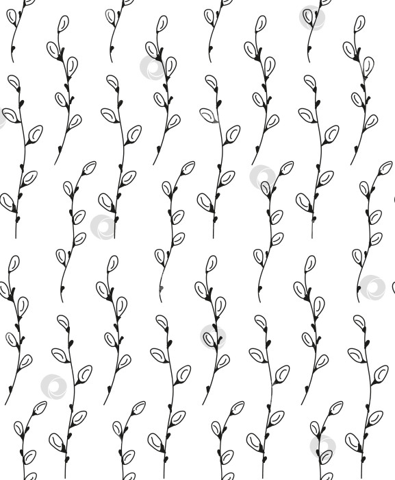 Скачать Бесшовный узор из бутонов ивы. Черно-белая векторная иллюстрация Pussy willow Doodle. фотосток Ozero