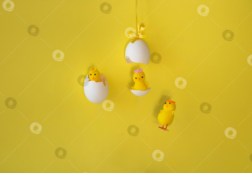 Скачать Яйца и игрушечные цыплята, выделенные на желтом фоне. Концепция Пасхи фотосток Ozero