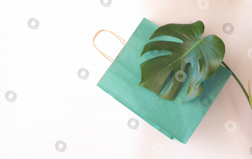 Скачать Зеленая бумажная хозяйственная сумка и зеленый лист монстра, выделенный на белом фоне. Место для вашего текста фотосток Ozero