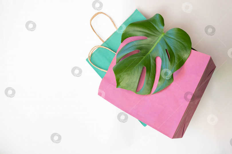 Скачать Красочные бумажные пакеты для покупок и зеленый лист монстра, выделенный на белом фоне фотосток Ozero