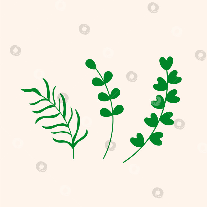 Скачать Нарисуйте зелеными красками листья-веточки. Веточка растения, трава, листья в форме сердца. Векторная иллюстрация. фотосток Ozero