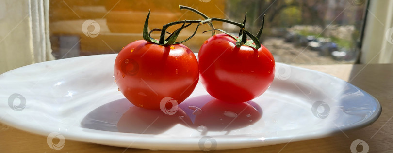Скачать Свежий помидор, выделенный на белом фоне. Свежий овощ, выделенный на белом фоне фотосток Ozero