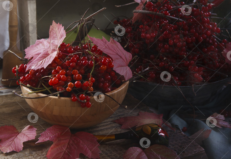 Скачать Миска с ягодами калины с листьями и веточками на старой деревенской кухне фотосток Ozero