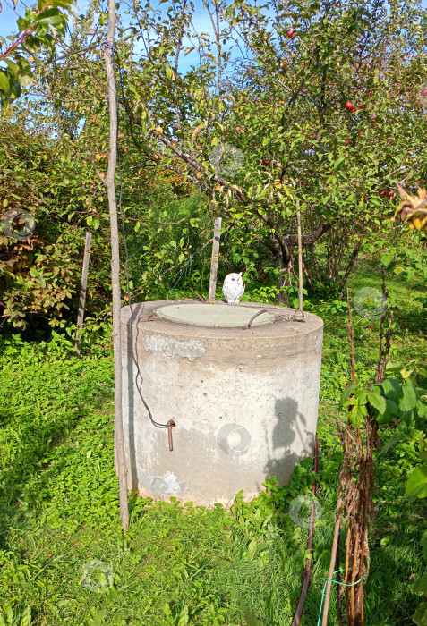 Скачать Круглый каменный колодец с декоративной фигуркой совы в саду фотосток Ozero