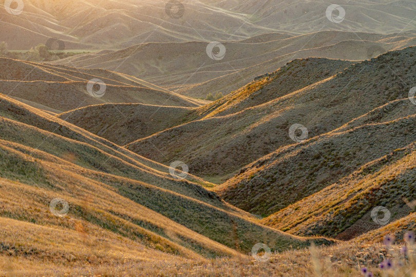 Скачать Склоны гор в лучах закатного солнца фотосток Ozero