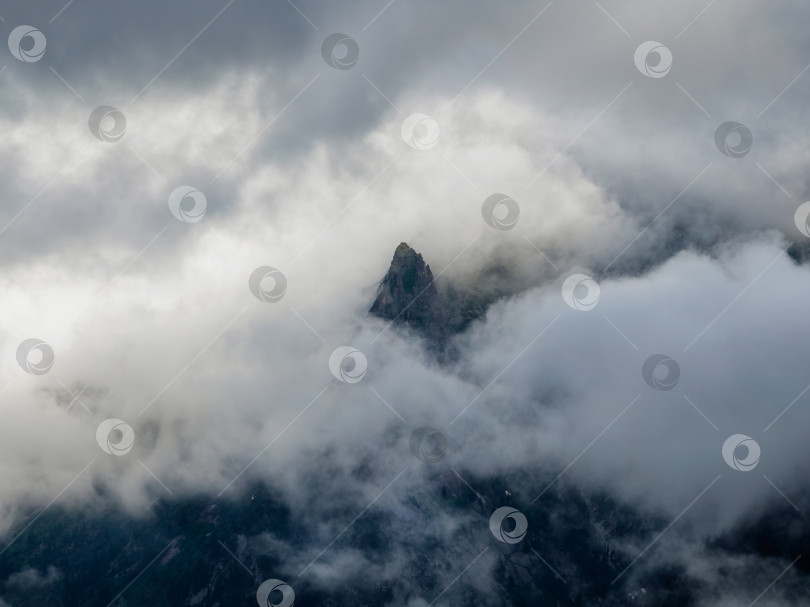 Скачать Острый одинокий пик среди облаков. фотосток Ozero