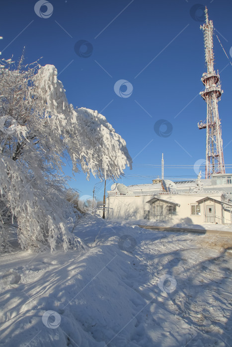 Скачать Радиовышка среди леса зимой. фотосток Ozero