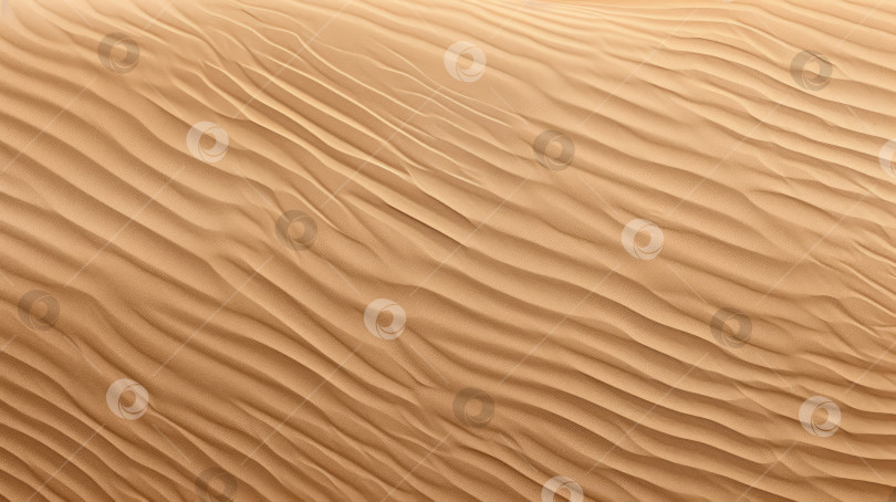 Скачать Детализированная текстура песчаной дюны в пустыне, запечатлевающая тонкую рябь и песчинки под солнцем пустыни, вид сверху. Фон, место для копирования фотосток Ozero