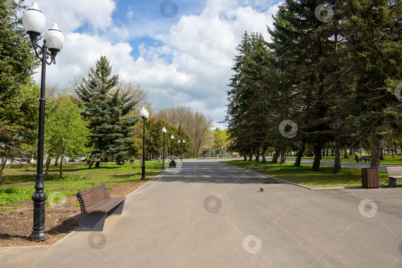 Скачать Весенняя аллея в яркий солнечный день.Благоустройство парка фотосток Ozero