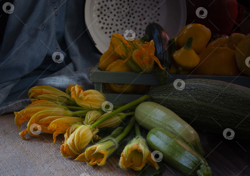 Скачать кабачки и цуккини с цветами на деревянном столе с дуршлагом в деревенском стиле на синем фоне фотосток Ozero