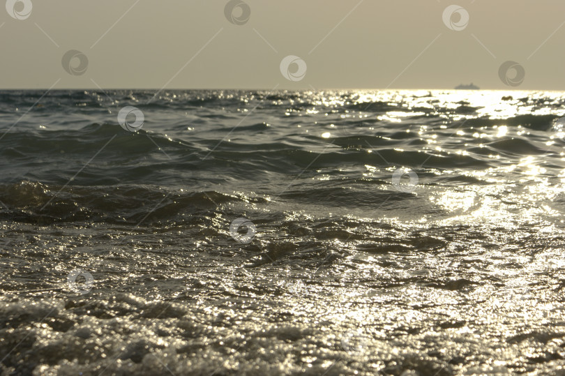 Скачать Прибрежная волна на закате. фотосток Ozero