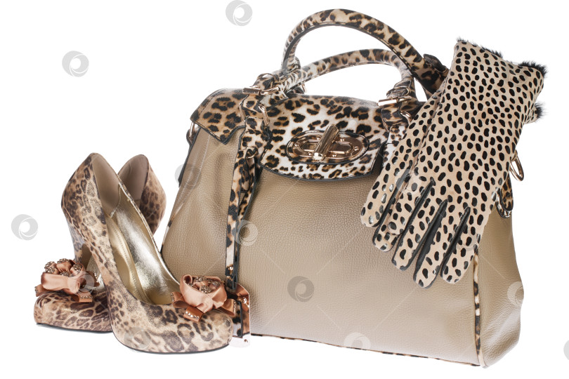 Скачать Леопардовая сумка, обувь и перчатки, изолированно на белом фоне. Леопардовая сумка, обувь и перчатки, выделенные на белом фоне фотосток Ozero