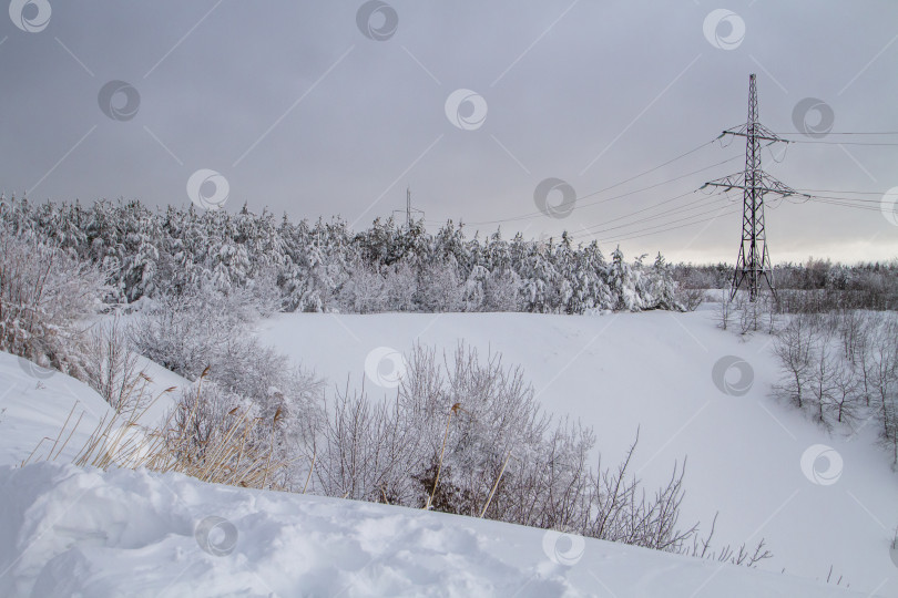 Скачать ЛЭП в зимнем лесу. фотосток Ozero