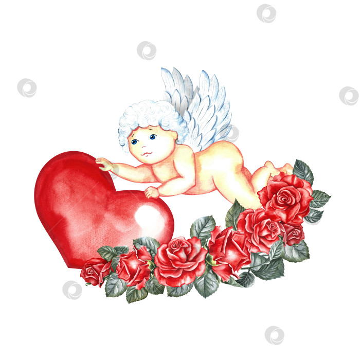 Скачать Летящий купидон с сердцем в руках, украшенным красными розами. Рисованная акварельная иллюстрация. Для Дня Святого Валентина и свадьбы. Для упаковки, листовок, плакатов и баннеров, поздравительных открыток. фотосток Ozero
