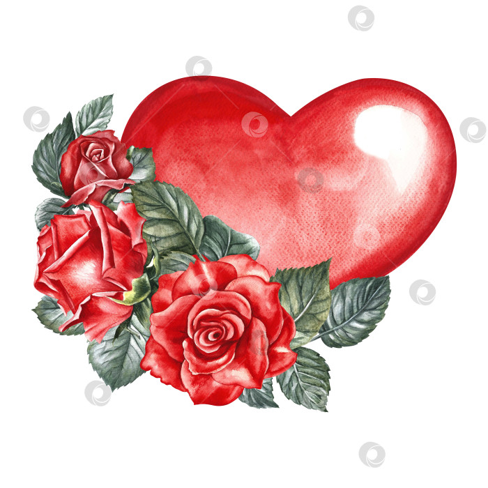 Скачать Красное акварельное сердце, украшенное розами. Рисованная акварельная иллюстрация. Элемент дизайна открытки на день святого Валентина, приглашения на свадьбу. Для упаковки и этикеток, плакатов и листовок, принтов. фотосток Ozero