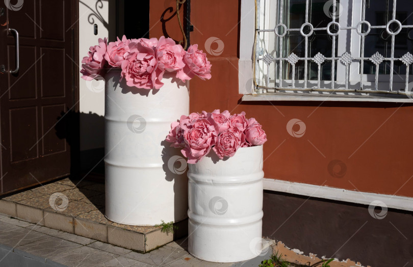 Скачать Искусственные розовые цветы в белых железных бочках на улице при летнем освещении. фотосток Ozero